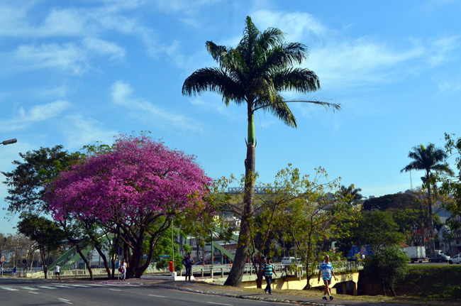 Frente fria pode trazer chuvas para a cidade 1 Semana começa com sol e céu aberto (Foto: Olavo Prazeres 15-08-2016)