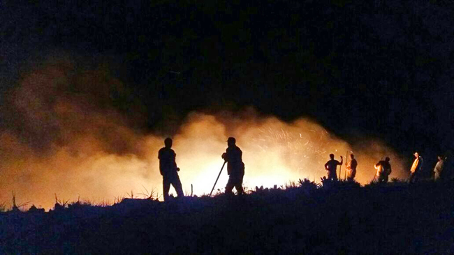 Incêndio em Ibitipoca é controlado 1 Foto: Acervo do Parque