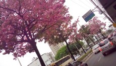 Passagem de frente fria muda tempo em Juiz de Fora 1 ipe roberto1