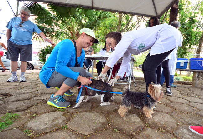 Cerca de 50 mil animais devem ser vacinados contra raiva 1 Gisela Cherem foi cedo vacinar seus animais (Foto: Olavo Prazeres 17-09-2016)