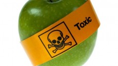 agrotoxicos-um-combate-a-alimentacao-saudavel-e-suas-relacoes-com-diversos-tipos-de-cancer