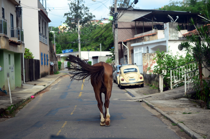 Foto: Olavo Prazeres