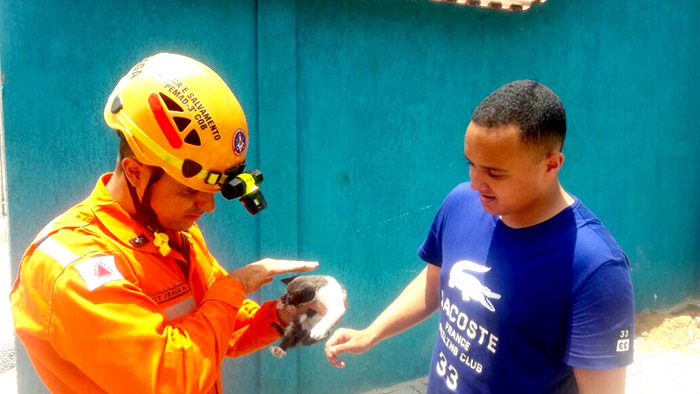 Bombeiros