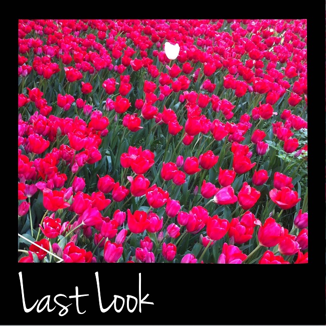Jardins quase secretos 11 last-look-650