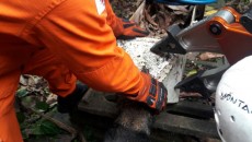 Bombeiros resgatam cachorro preso em filtro de ferro 3 resgatecachorro3