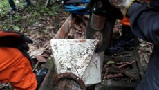Bombeiros resgatam cachorro preso em filtro de ferro 4 resgatecachorro4