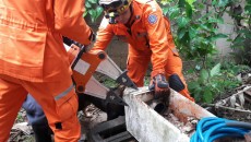 Bombeiros resgatam cachorro preso em filtro de ferro 6 resgatecachorro8