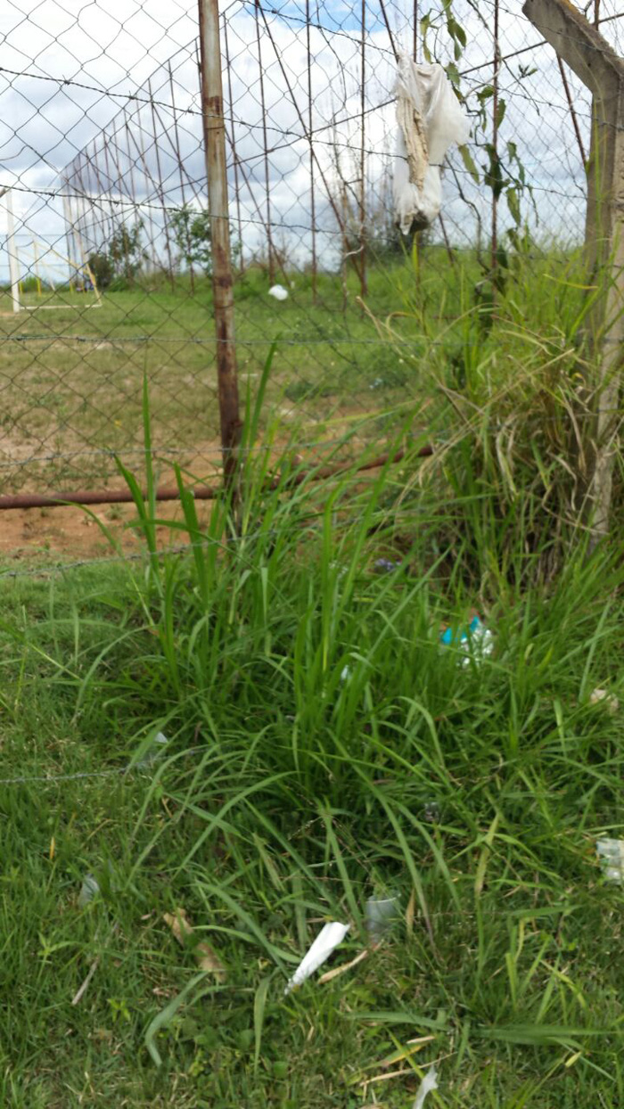vu campo