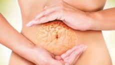 intestino3