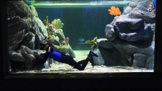 aquaRio Alexandre Macieira 1