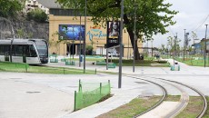 aquaRio Alexandre Macieira 5