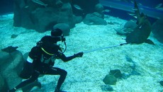 aquaRio Alexandre Macieira 9