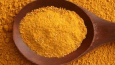 Curry protege o cérebro 2 curry
