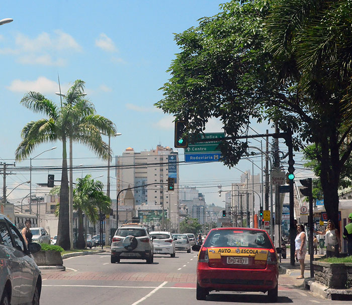 Vegetação oculta parte do semáforo e da placa de indicação mais à frente (Foto: Olavo Prazeres)