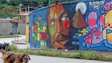 Grafiteiros transformam muros no Linhares 3 grafite leo2
