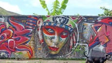 Grafiteiros transformam muros no Linhares 1 grafite leo3