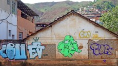 Grafiteiros transformam muros no Linhares 5 grafite leo5