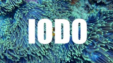 iodo