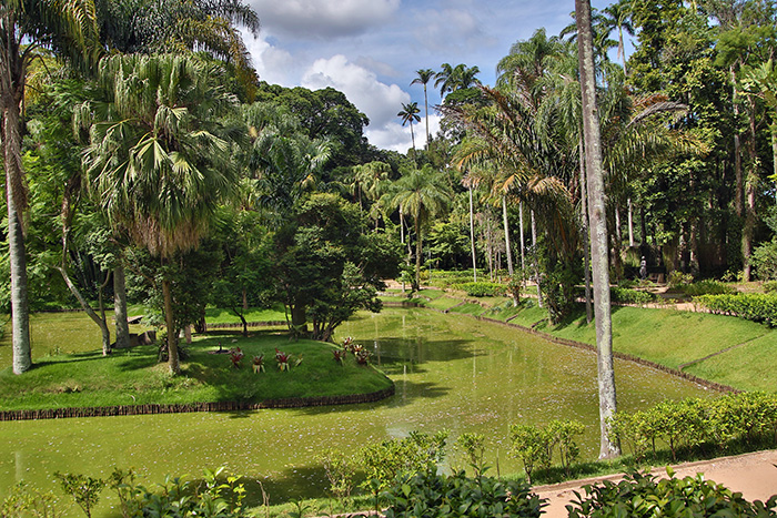 Pesquisadora tranquiliza frequentadores de museu sobre situação do lago 1 Superfície do lago tornou-se uma grande massa de alga, o que prejudica a questão paisagística (Foto: Fernando Priamo)