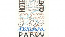 JF sob linhas literárias e arquitetônicas 10 liii2