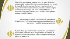 15 dicas4