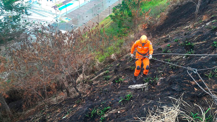 Bombeiros resgatam filhote de cachorro que caiu em barranco 1 Foto: Divulgação/Corpo de Bombeiros