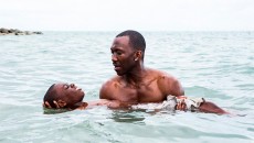 89ª edição do Oscar acontece neste domingo 7 Moonlight Sob a Luz do Luar