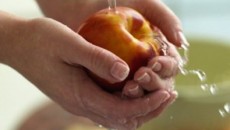 corsi_formazione_sicurezza_igiene_alimentare_big