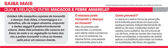 macacos-e-febre-amarela