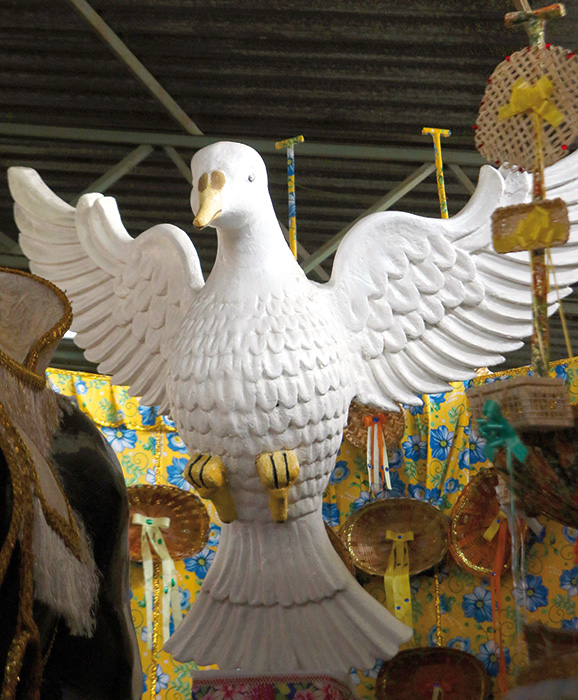 De volta à folia e de casa nova 3 Campeã do Grupo B em 2015, Mocidade Alegre homenageia a Unidos dos Passos relembrando enredo dos anos 70 (Foto: Fernando Priamo)
