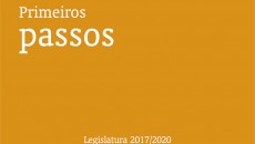 primeiros passos