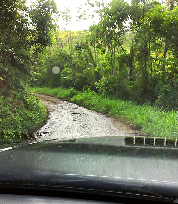 Vazamento de esgoto preocupa na Zona Norte 1 (Foto: Ana Emília Fernandes)