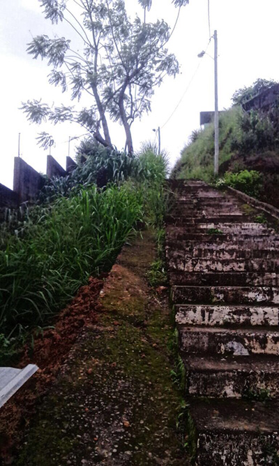 Mato alto ocupa trecho que liga as ruas Bento Gonçalves e Guararapes. (Foto: Janderson Davison)