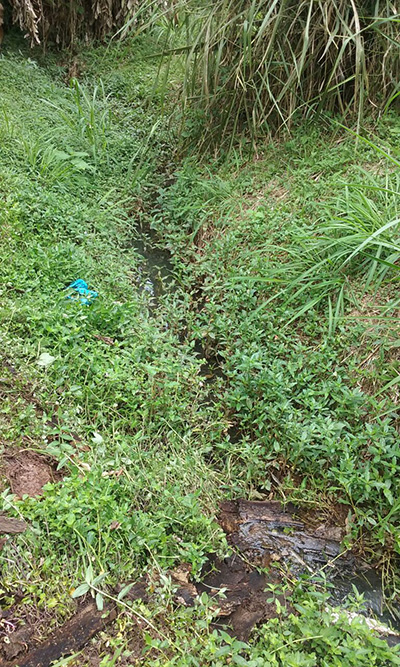 Entulho acumulado entope grade de proteção de córrego (Foto: Marcos Leal)