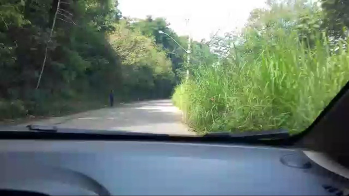 Bandidos estariam se escondendo no mato para assaltar quem passa pela Rua Olivério Pires de Carvalho (Foto: Jean Amaral)
