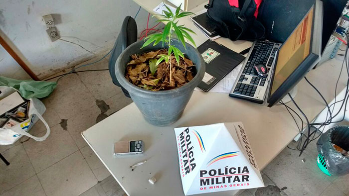 Foto: Polícia Militar/Divulgação apreensao-pm
