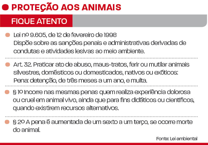 Risco de extinção de primatas em várias áreas 2 macaco.Net