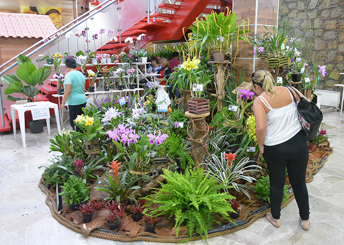 Santa Cruz Shopping recebe a 13ª Exposição de Orquídeas 1 Foto: Marcelo Ribeiro