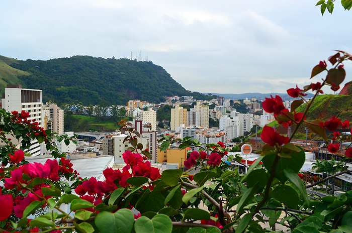 Temperatura pode sofrer elevação ao longo da semana 1 Foto: Olavo Prazeres