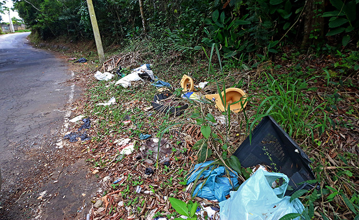 Entulhos de obra, vasos e até uma TV foram descartados na Rua Luiz Zuddio. (Foto: Leonardo Costa)