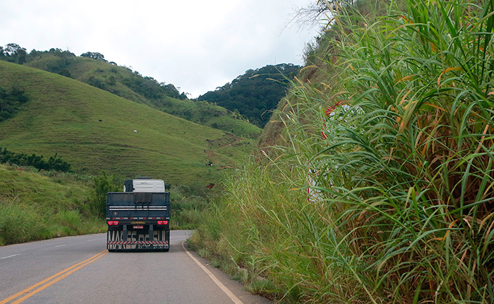 Até radares estão encobertos por mato em rodovia sem manutenção 1 Placas que indicam os radares e fornecem outras orientações para condutores são impossíveis de ser vistas, diante do matagal (Foto: Fernando Priamo)