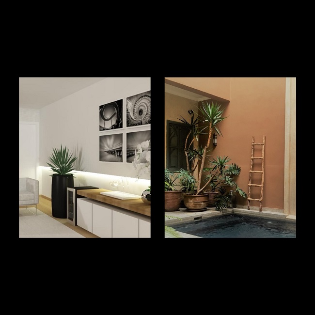 Plantas no Décor 10 Marrocos