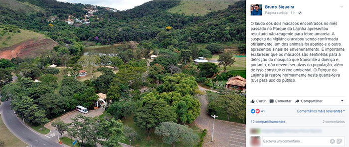 Exame descarta febre amarela em macacos encontrados no Parque da Lajinha 1 Foto: Reprodução Facebook