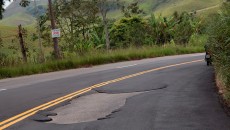 Até radares estão encobertos por mato em rodovia sem manutenção 6 galeria mg 353 priamo 2