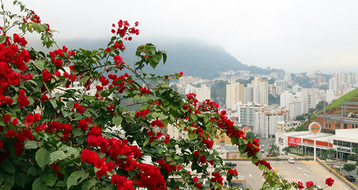 Foto: Felipe Couri
