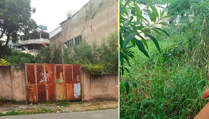 Mato do terreno já está invadindo casas vizinhas