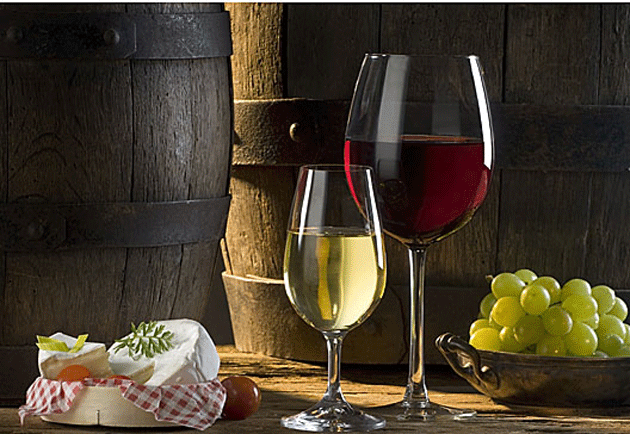 Vinho: vamos conversar sobre ele! 3 uvas e vinhos