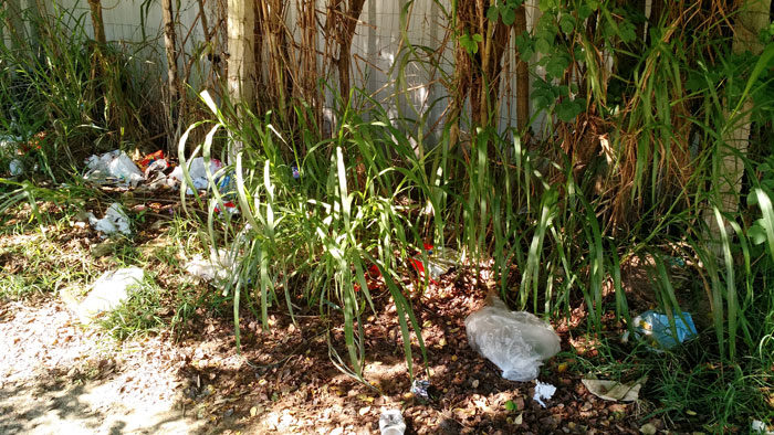 Matagal ocupa calçada na Via São Pedro 2 vidaurbana sãopedro 272