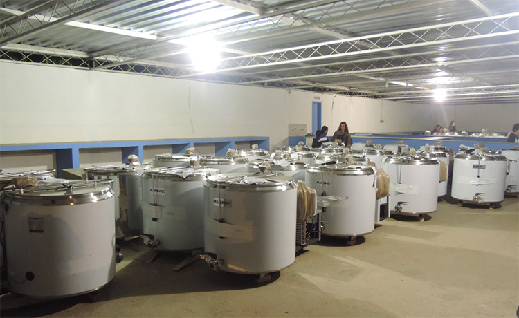 Produtores Rurais de Chácara recebem tanques de expansão de leite 1 Chácara