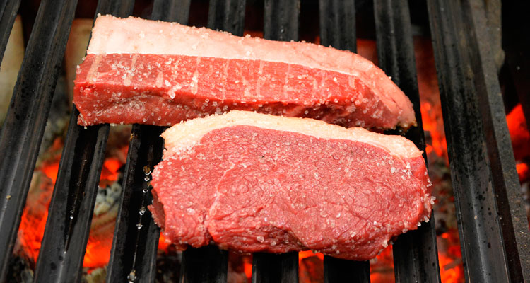 carne-2 carne-2